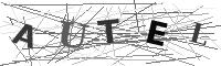 Please refresh your browser to see this image.